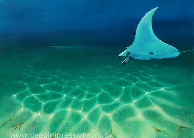 Deep Impressions Underwater Art