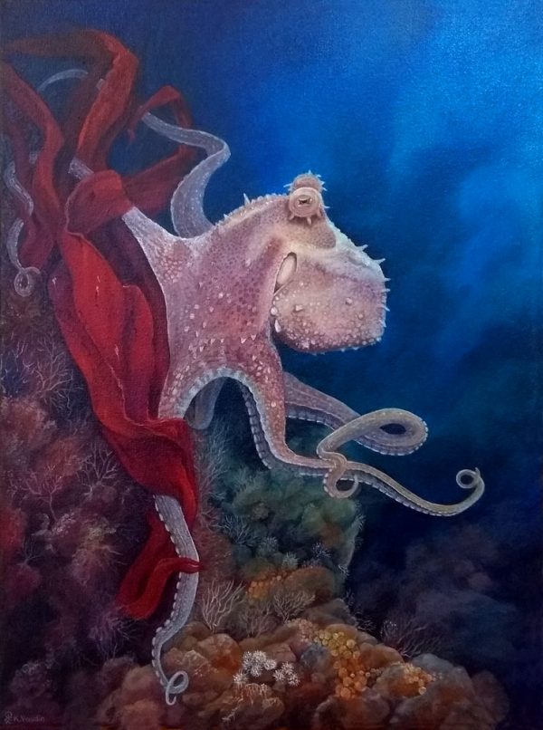 Common octopus painting on canvas
