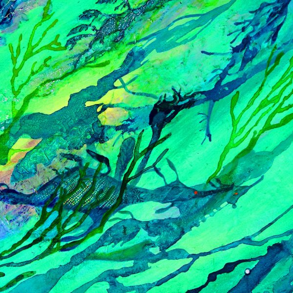 Seadragons canvas print by Deep Impressions