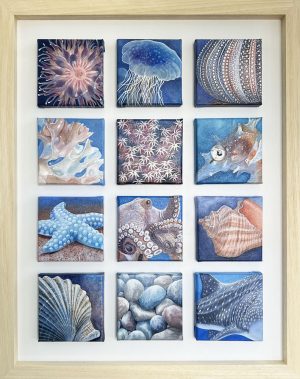 Sea life painting collection