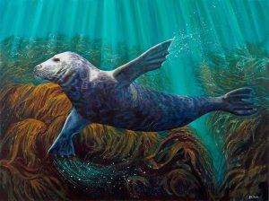 Seal art print by Deep Impressions