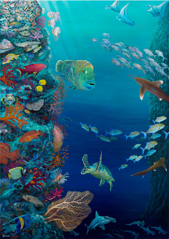 Coral Wall by Deep Impressions