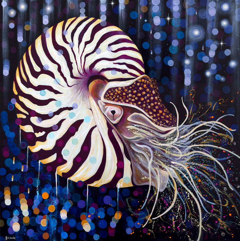 Deep Impressions Nautilus
