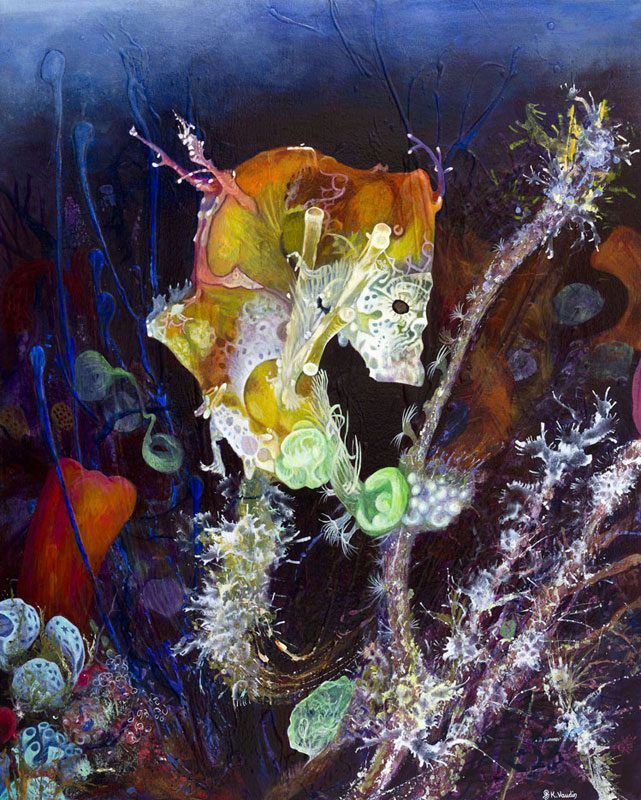 Deep Impressions Pontohi Seahorse