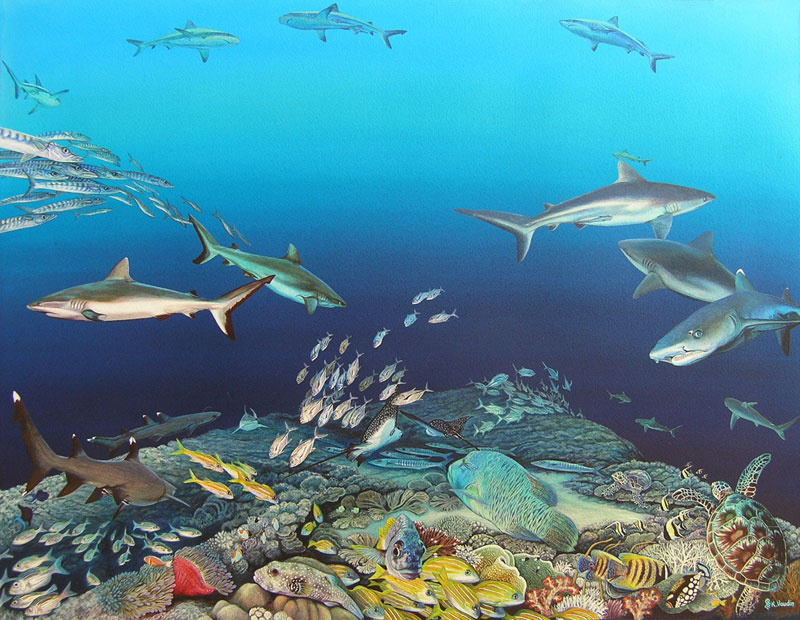 Blue Corner by Deep Impressions