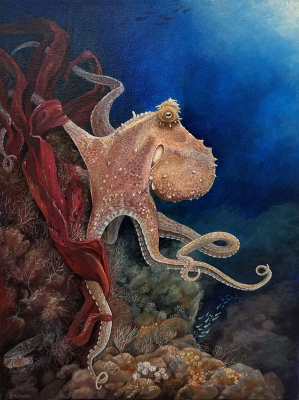 Common Octopus by Deep Impressions
