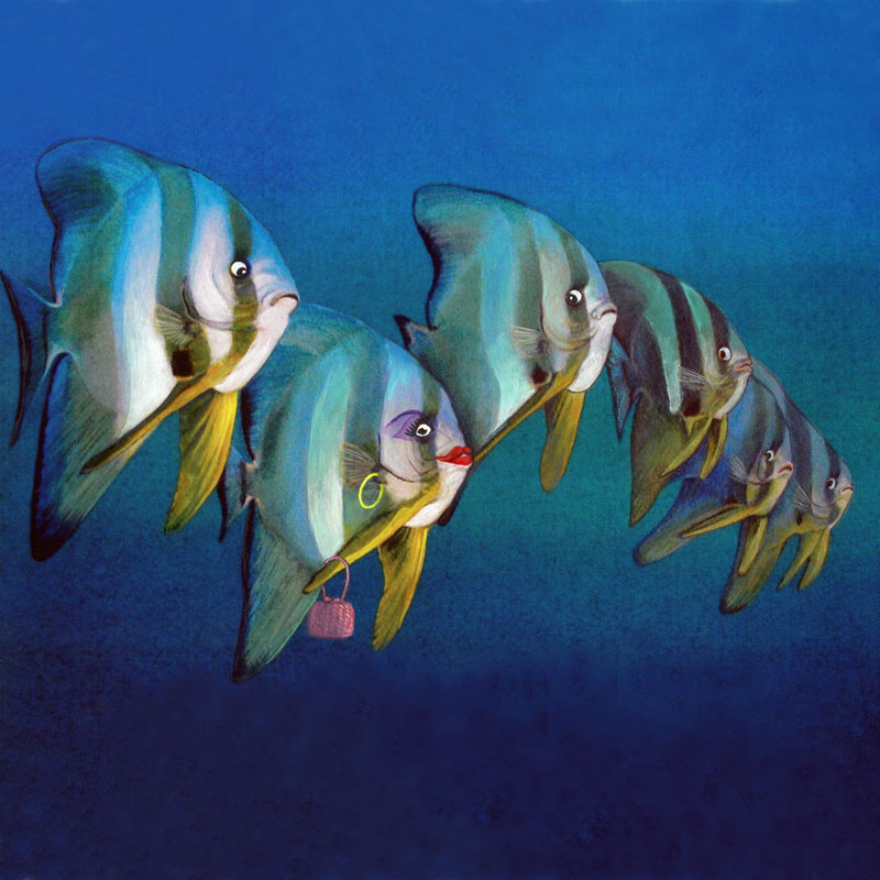 Batfish display card by Deep Impressions