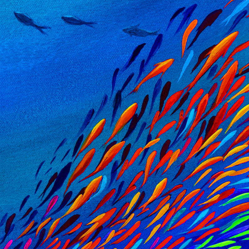 Fish burst card by Deep Impressions