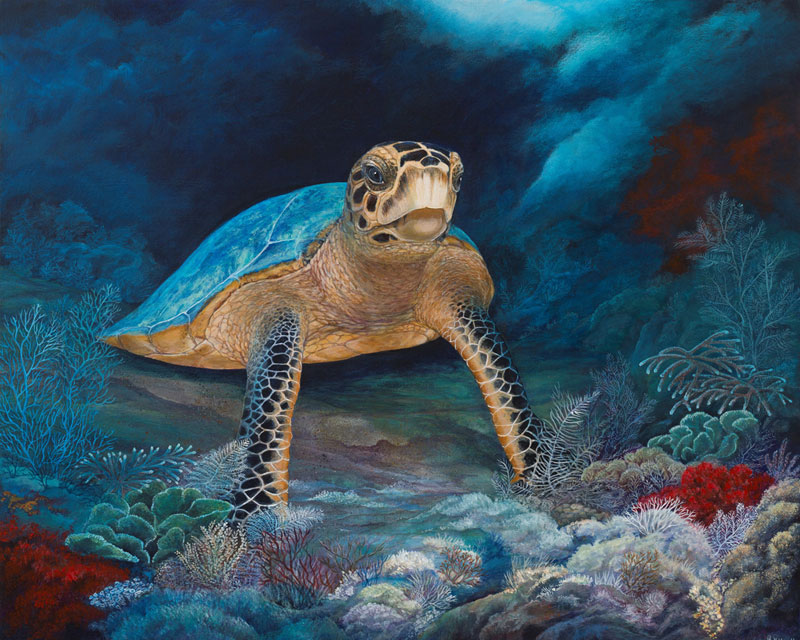 Turtle ledge canvas print