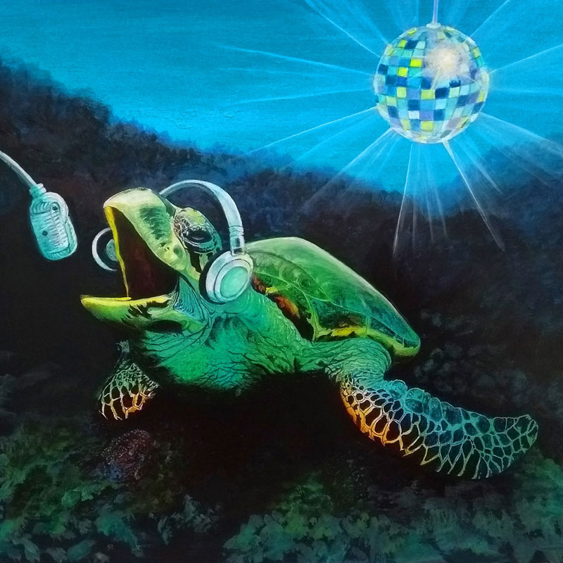 Turtle mic card by Deep Impressions