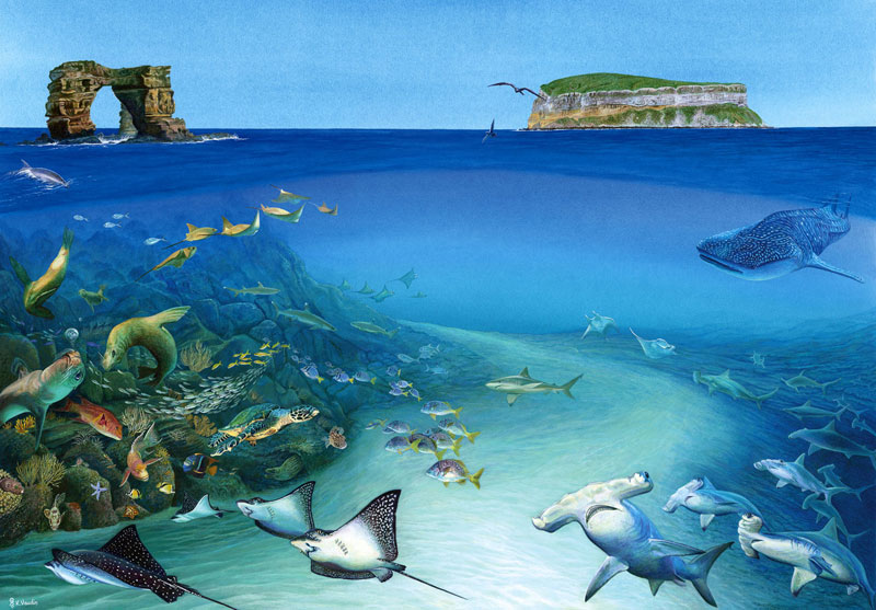 Darwin's Arch Fine Art Print