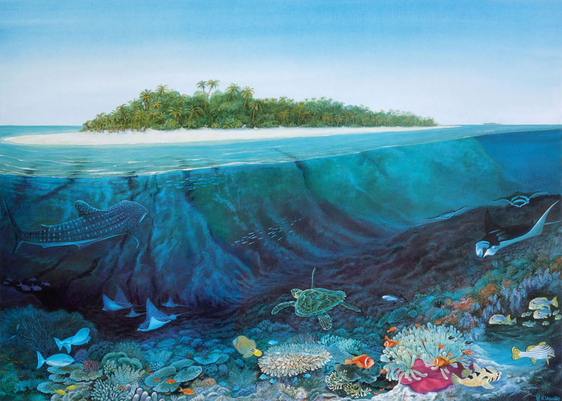 The Islanders Fine Art Print