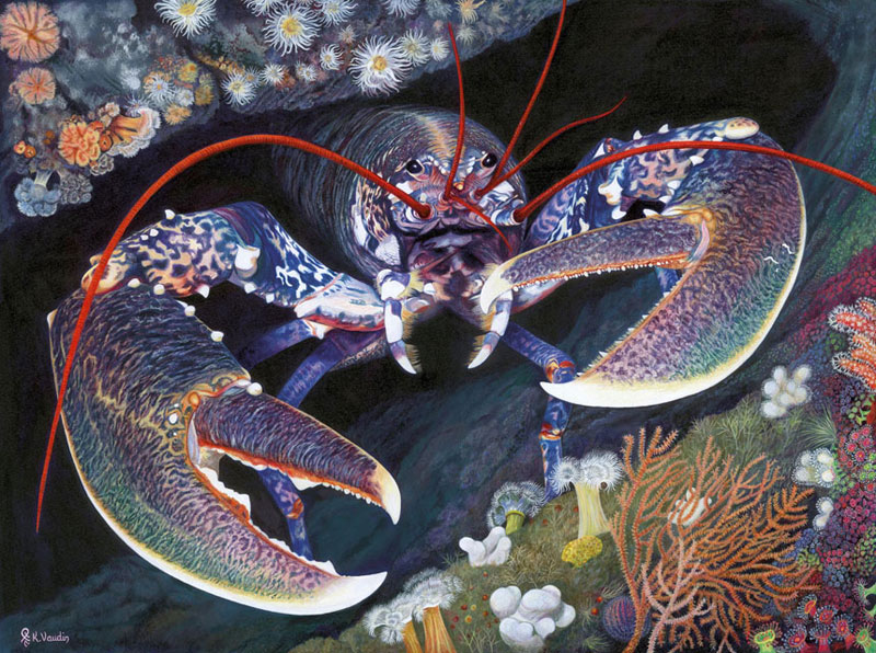 Lobster Fine Art Print