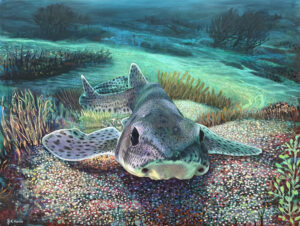Dogfish - Original painting
